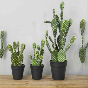 Srtificial tropical cactus plant green (2pcs)